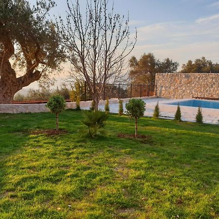 Apartman Nikocevic Dobra Voda Extérieur photo