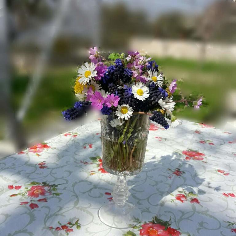 Apartman Nikocevic Dobra Voda Extérieur photo